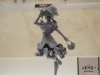 wf217