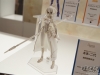 wf284