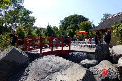 Aki_Matsuri_Marseille_2014_14
