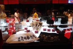 ffexpo_49