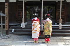 Maiko_Kyoto_2016_01_OK