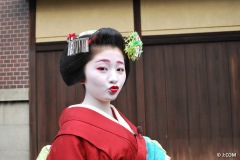 Maiko_Kyoto_2016_04_OK