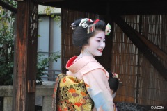 Maiko_Kyoto_2016_08_OK