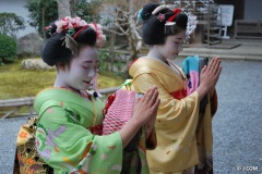 Maiko_Kyoto_2016_24_OK