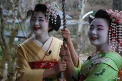 Maiko_Kyoto_2016_28_OK