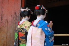 Maiko_Kyoto_2016_31_OK