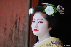 Maiko_Kyoto_2016_32_OK