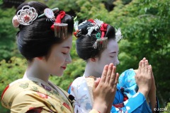 Maiko_Kyoto_2016_33_OK