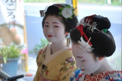 Maiko_Kyoto_2016_39_OK