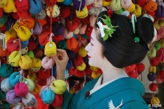 Maiko_Kyoto_2016_42_OK