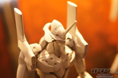 wf77