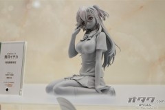 wf213
